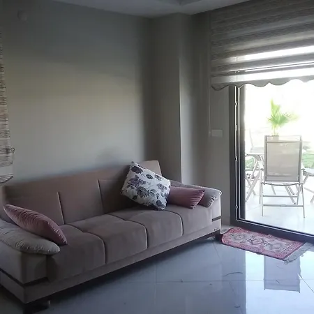Palm23 *