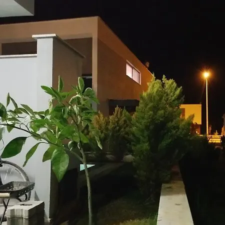 Palm23