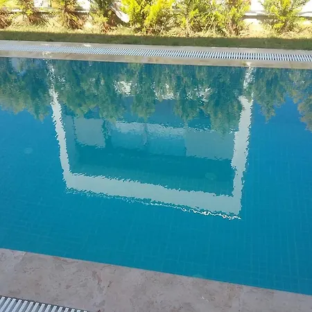 Villa Palm23 *