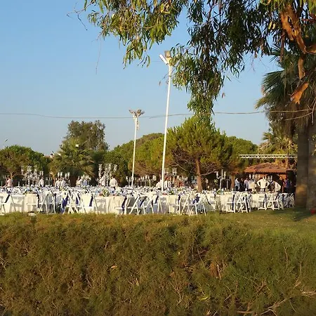 Villa Palm23 *